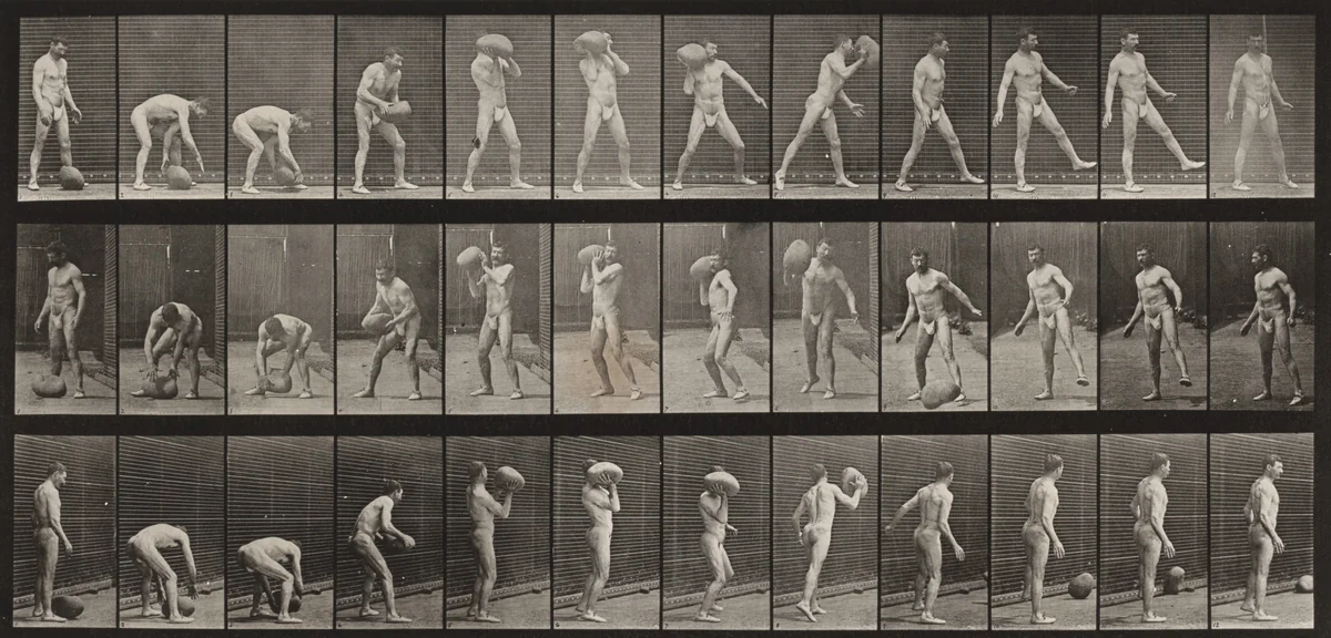 Plate Number 317. Lifting and heaving a 75-lb. rock by Eadweard Muybridge, photograph, 1887
