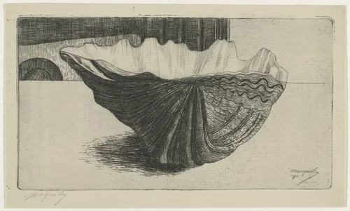 Een schelp, op de bolling liggend by Samuel Jessurun de Mesquita, print, 1911