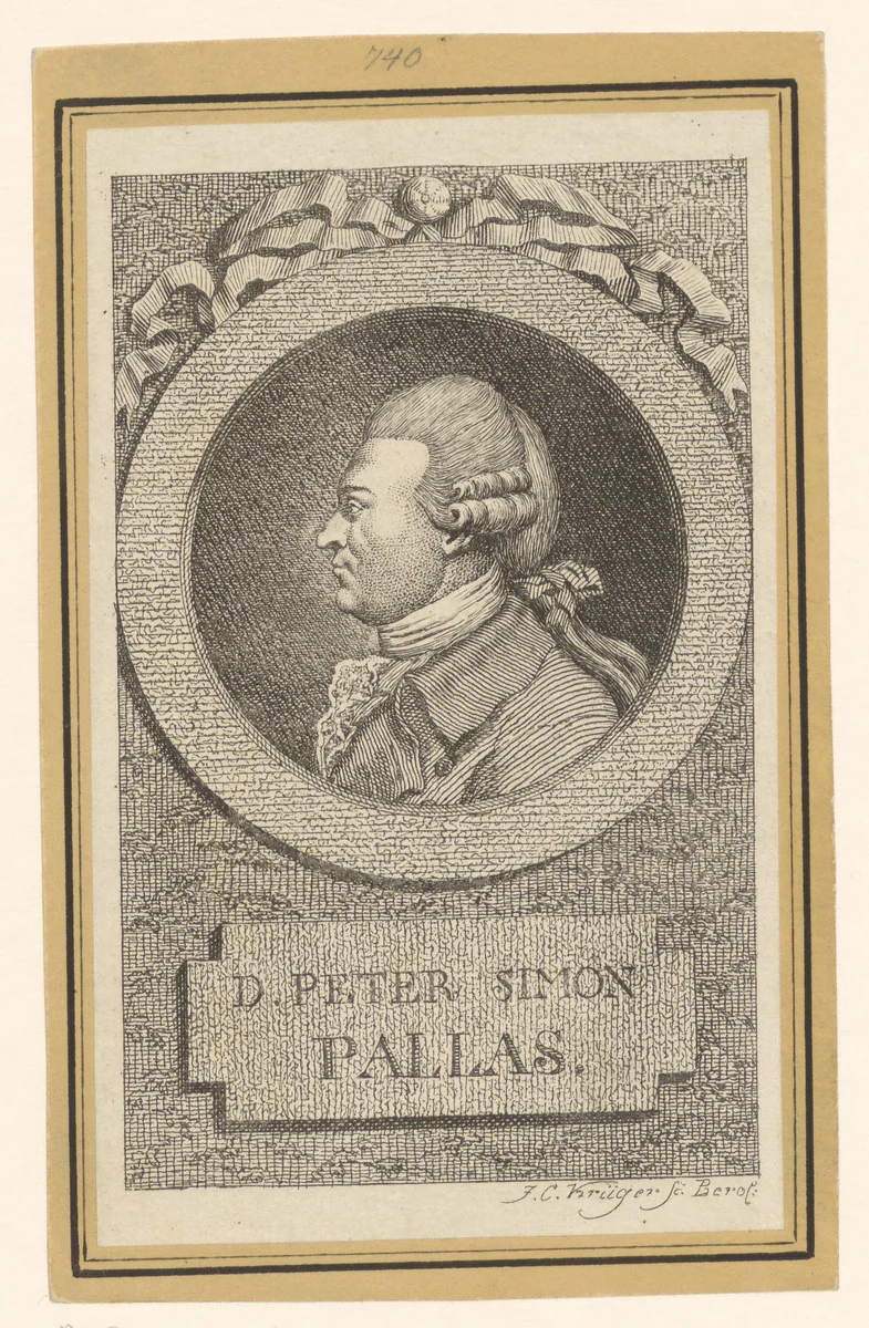 Portret van Peter Simon Pallas by Johann Conrad Krüger, print, 1783-1791