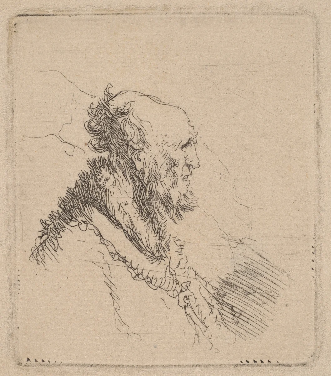 Bald Old Man with a Short Beard in Profile by Rembrandt van Rijn, print, 1635