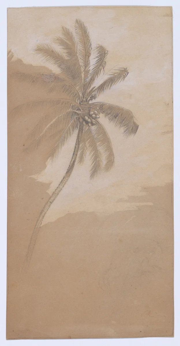 Palm Tree by Elihu Vedder, artwork, 1836-1923