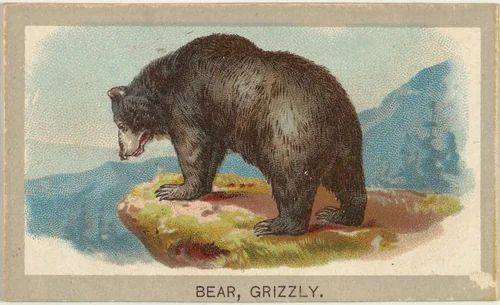 Grizzly Bear, from the Animals of the World series (T180), issued by Abdul Cigarettes by Abdul Cigarettes, print, 1881