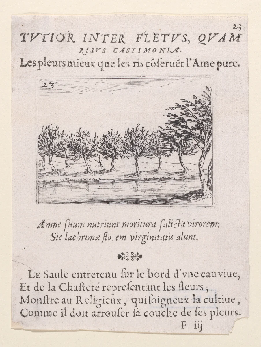 Le Saules au Bord de l'Eau (The Willows at the Waterfront), plate 23 from "Lux Claustri ou La Lumière du Cloitre" (The Light of the Cloisters) by Jacques Callot, print, 1621-1635