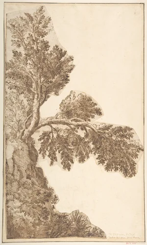 Trees by anonymous, drawing, 1500-1600