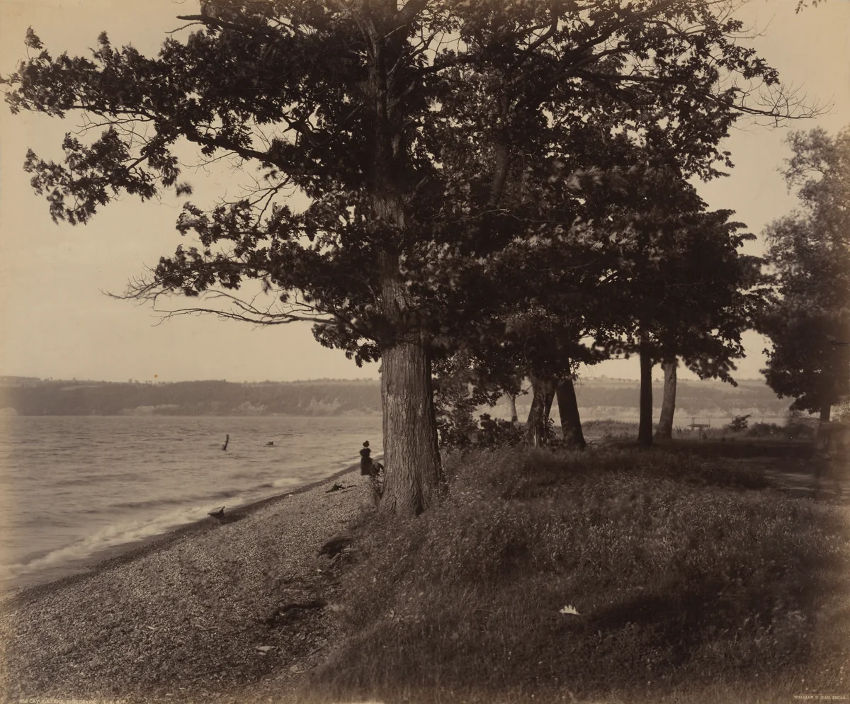 Cayuga Lake, Sheldrake by William H. Rau, photograph, 1890-1900