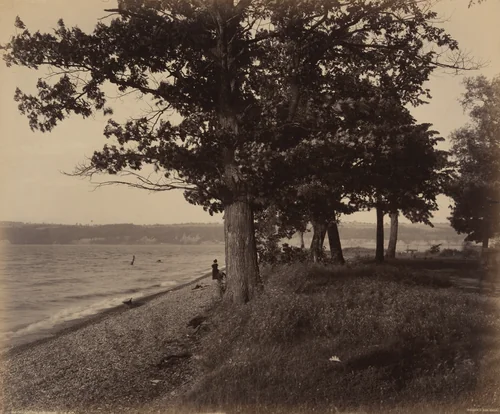 Cayuga Lake, Sheldrake by William H. Rau, photograph, 1890-1900