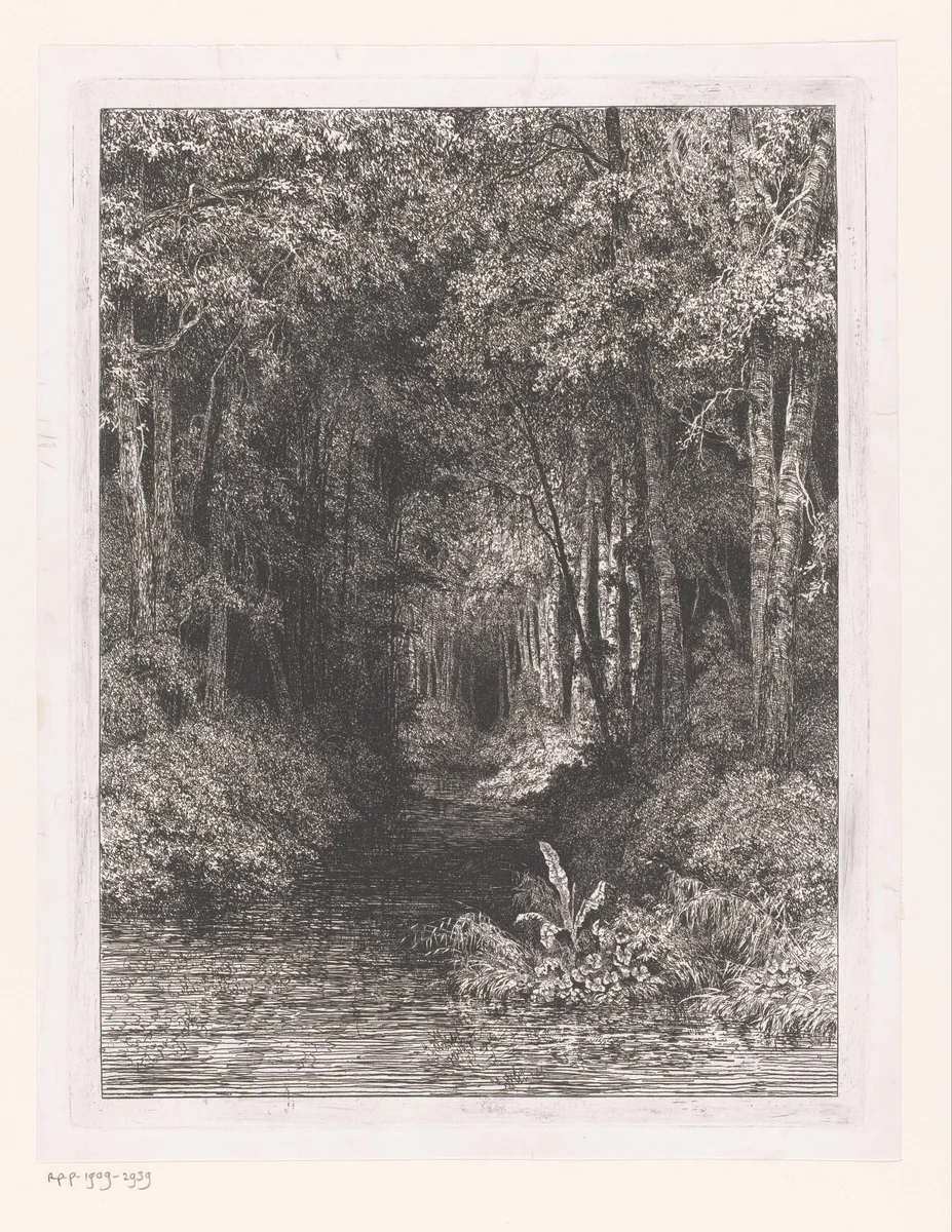 Beek door het bos by César de Cock, print, 1833-1879