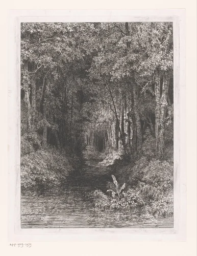 Beek door het bos by César de Cock, print, 1833-1879
