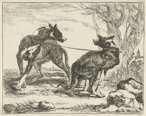 Twee honden by Joannes Fijt, print, 1642