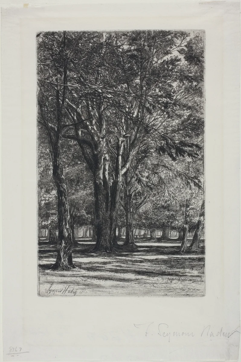 Kensington Gardens, No. II (large plate) by Francis Seymour-Haden, print, 1860