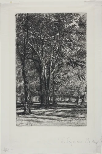 Kensington Gardens, No. II (large plate) by Francis Seymour-Haden, print, 1860