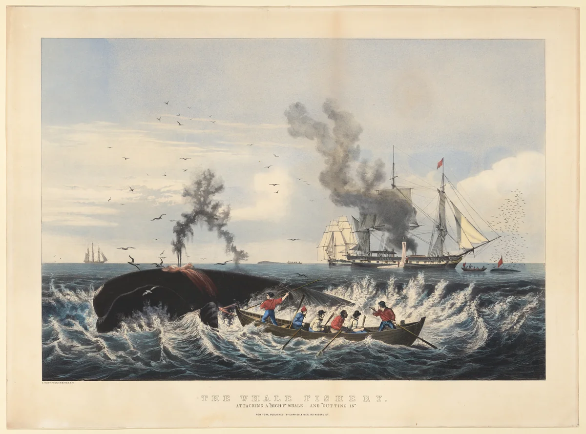 The Whale Fishery: Attacking a "Right Whale" --and "Cutting In" by Currier & Ives, print, 1860-1865