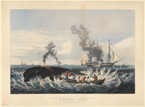 The Whale Fishery: Attacking a "Right Whale" --and "Cutting In" by Currier & Ives, print, 1860-1865