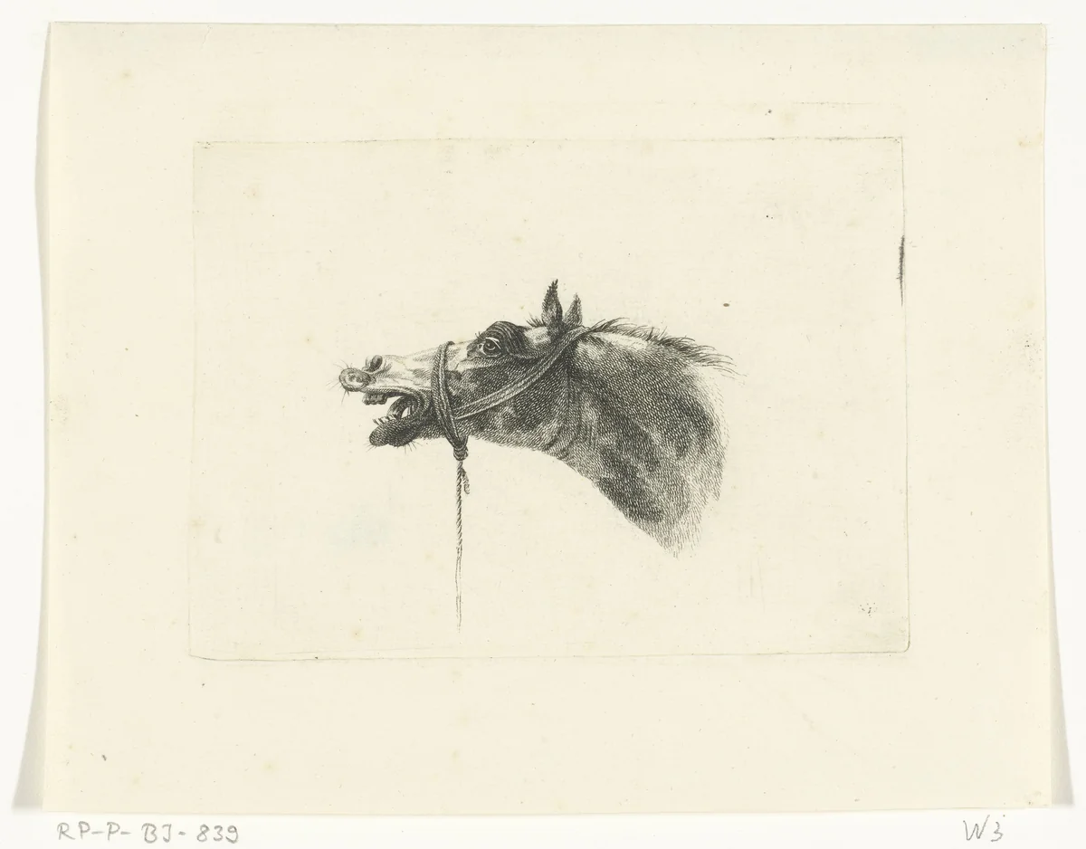 Paardenhoofd met open bek, naar links by Joannes Bemme, print, 1801