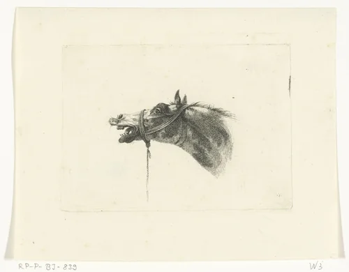 Paardenhoofd met open bek, naar links by Joannes Bemme, print, 1801