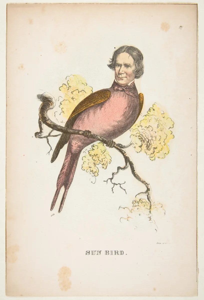 Sun Bird (James S. Wallace), from "The Comic Natural History of the Human Race" by Henry Louis Stephens, print, 1851