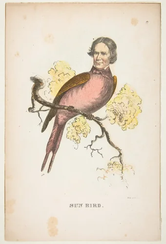Sun Bird (James S. Wallace), from "The Comic Natural History of the Human Race" by Henry Louis Stephens, print, 1851