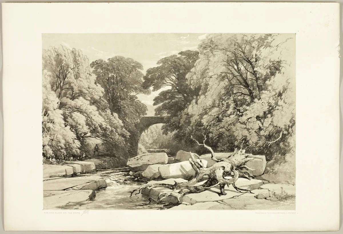 Ash and Alder on the Greta, from The Park and the Forest by James Duffield Harding, print, 1841