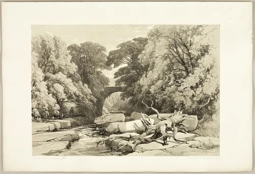 Ash and Alder on the Greta, from The Park and the Forest by James Duffield Harding, print, 1841