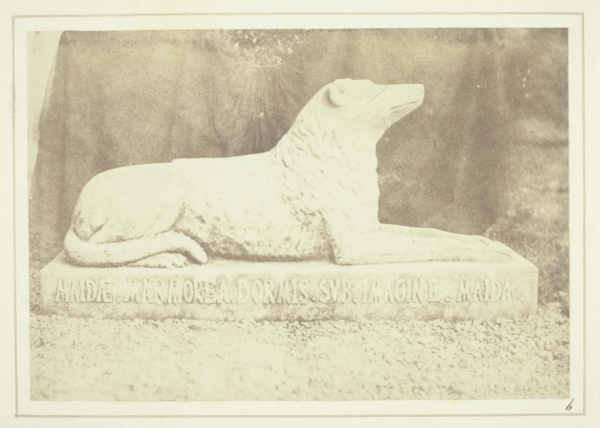 Effigy of Sir W. Scott's favourite dog Maida, by the side of the hall door at Abbotsford by William Henry Fox Talbot, photograph, 1844