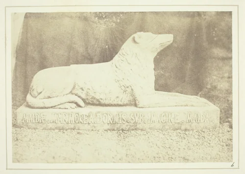 Effigy of Sir W. Scott's favourite dog Maida, by the side of the hall door at Abbotsford by William Henry Fox Talbot, photograph, 1844