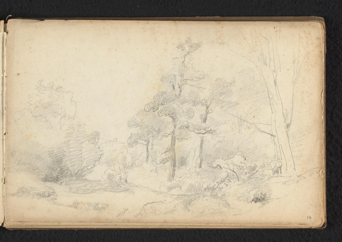 Bos by Jan Bedijs Tom, drawing, 1823-1894