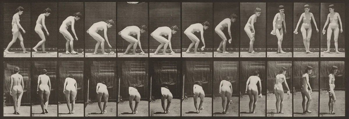 Plate Number 220. Stooping, and lifting handkerchief and turning by Eadweard Muybridge, photograph, 1887