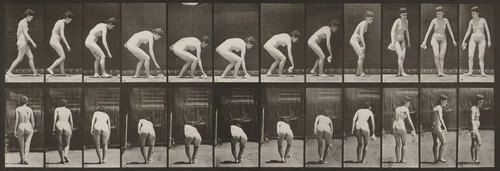 Plate Number 220. Stooping, and lifting handkerchief and turning by Eadweard Muybridge, photograph, 1887