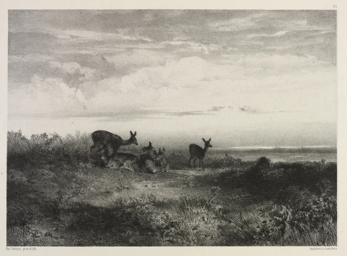 Landscape with Deer by Karl Bodmer, print, 1835-1845