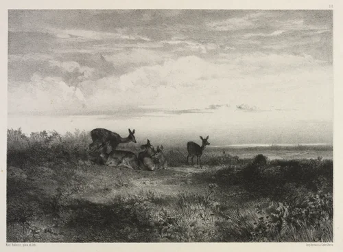 Landscape with Deer by Karl Bodmer, print, 1835-1845