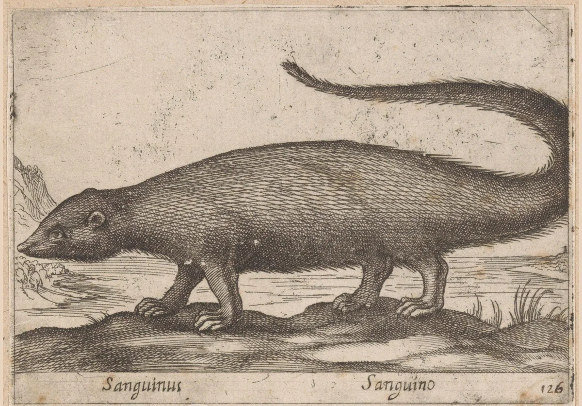 Fretachtige by Antonio Tempesta, print, 1565-1630