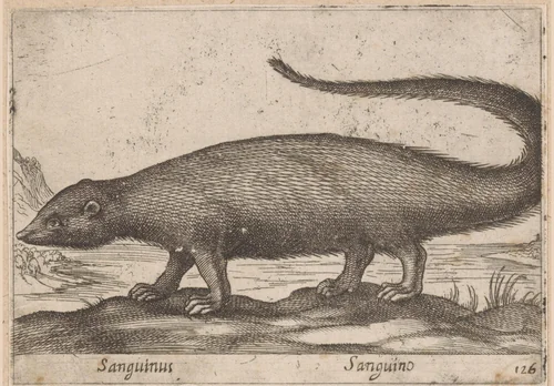 Fretachtige by Antonio Tempesta, print, 1565-1630