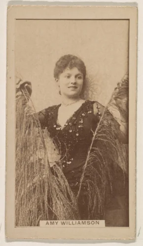 Amy Williamson, from the Actresses series (N245) issued by Kinney Brothers to promote Sweet Caporal Cigarettes by Kinney Brothers Tobacco Company, photograph, 1890