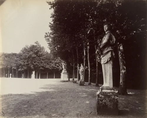 Versailles -- Coin de Parc by Eugène Atget, photograph, 1901