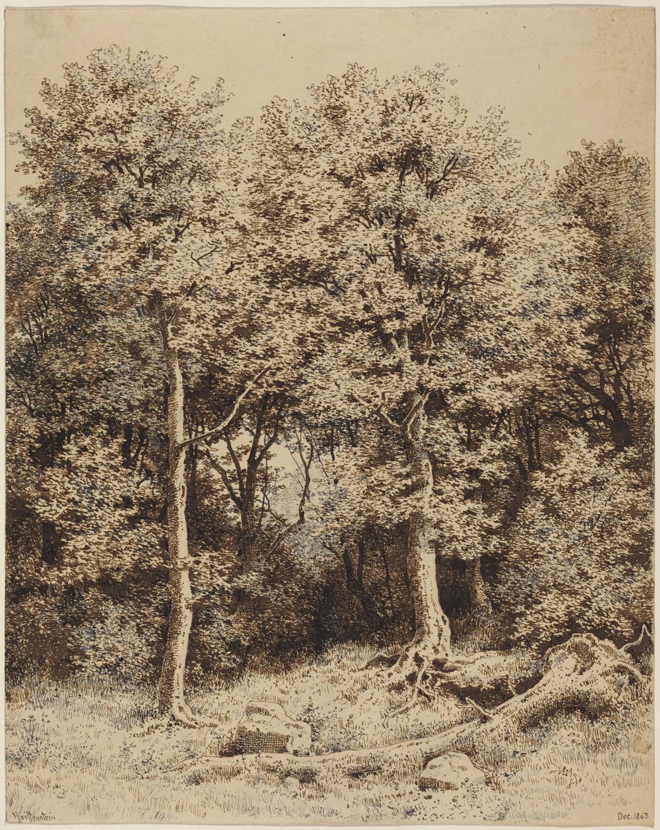 A Copse of Trees by Karl Theodor Reiffenstein, drawing, 1863