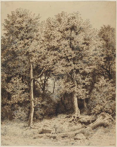 A Copse of Trees by Karl Theodor Reiffenstein, drawing, 1863