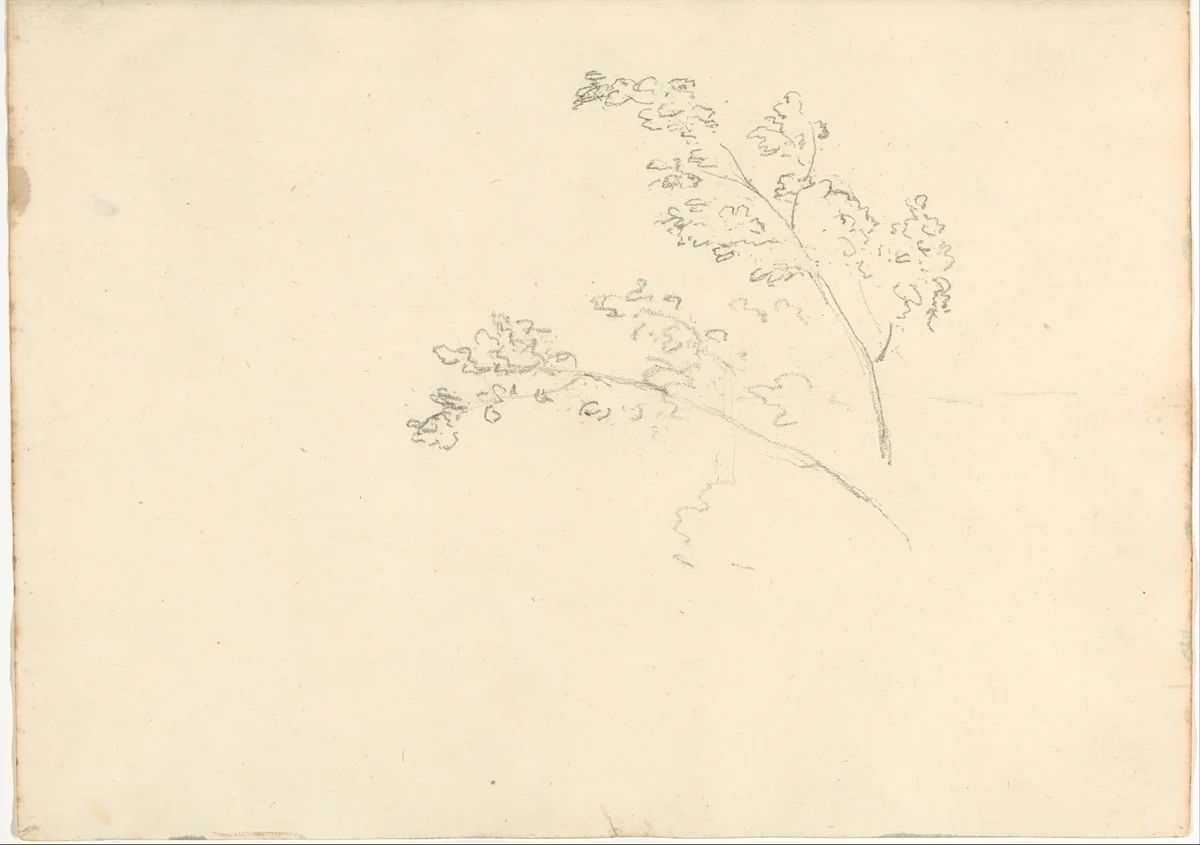 Tree branches (Smaller Italian sketchbook, leaf 30 recto) by Joseph Wright, drawing, 1774-1775