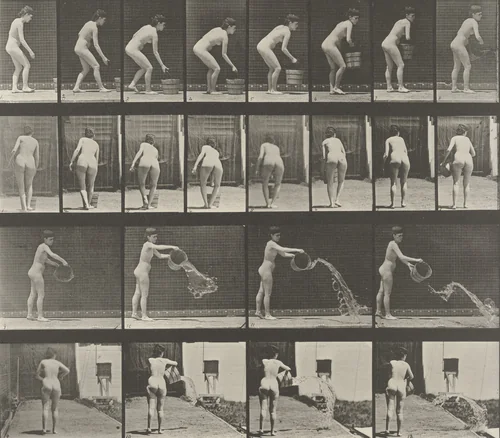 Woman Emptying a Bucket of Water: Plate 401 from Animal Locomotion (1887) by Eadweard Muybridge, photograph, 1884