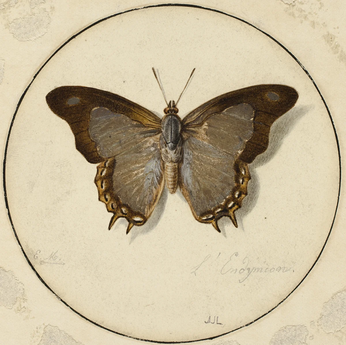 L'Endymien by Jean Louis Ernest Meissonier, painting, 1835-1891