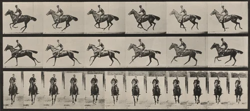 Plate Number 632. "Bouquet" galloping, saddled by Eadweard Muybridge, photograph, 1887