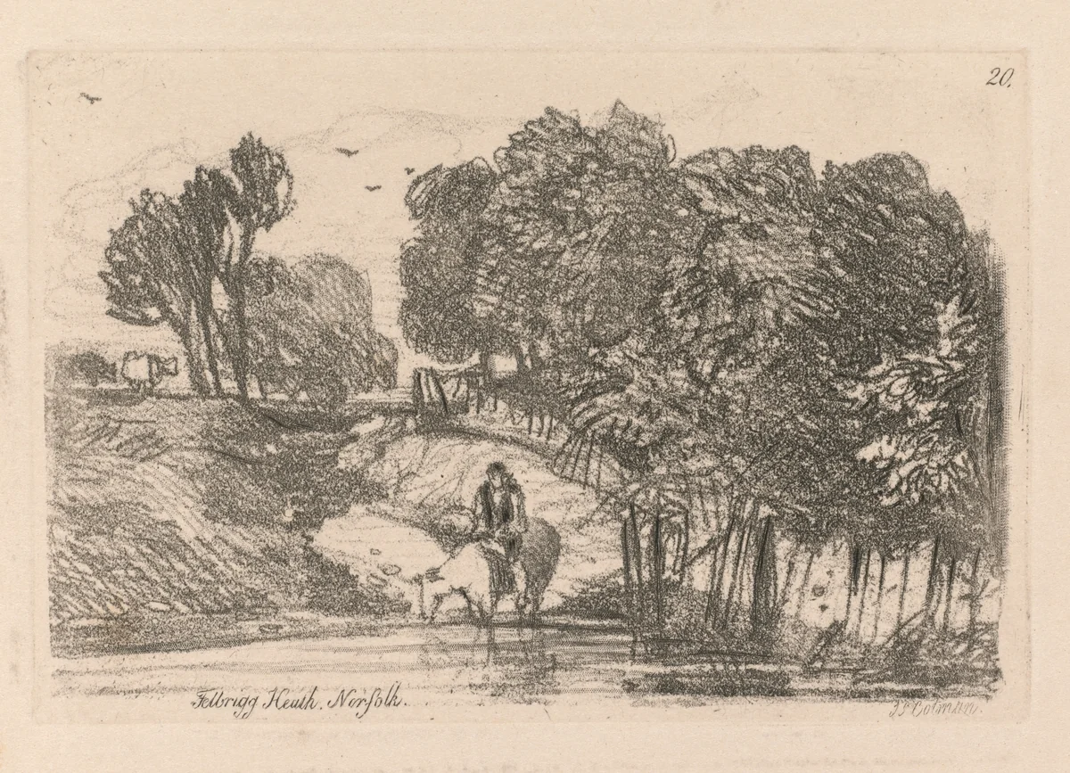 Liber Studiorum: Plate 20, Felbrigg Heath, Norfolk by John Sell Cotman, book, 1838