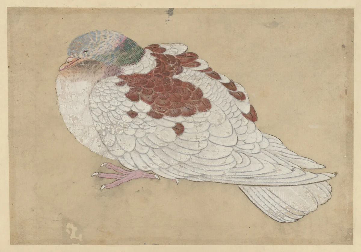 Bird by Ogawa Haritsu, painting, 1700-1747
