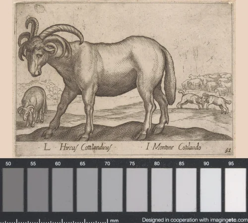 Geit met zes hoorns by Antonio Tempesta, print, 1565-1630