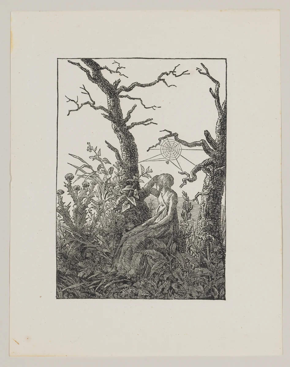 Woman with a Spiderweb by Christian Friedrich, print, 1803