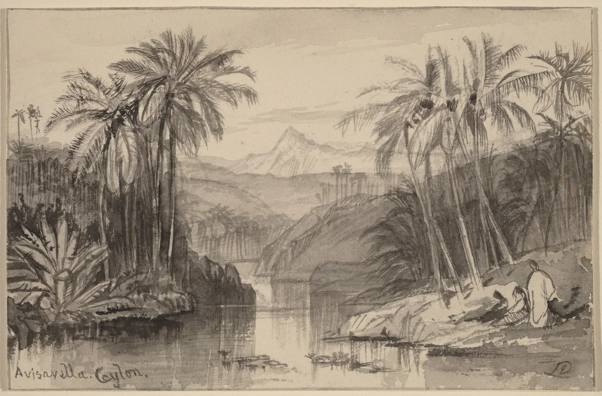 Avisavella, Ceylon by Edward Lear, drawing, 1884-1885