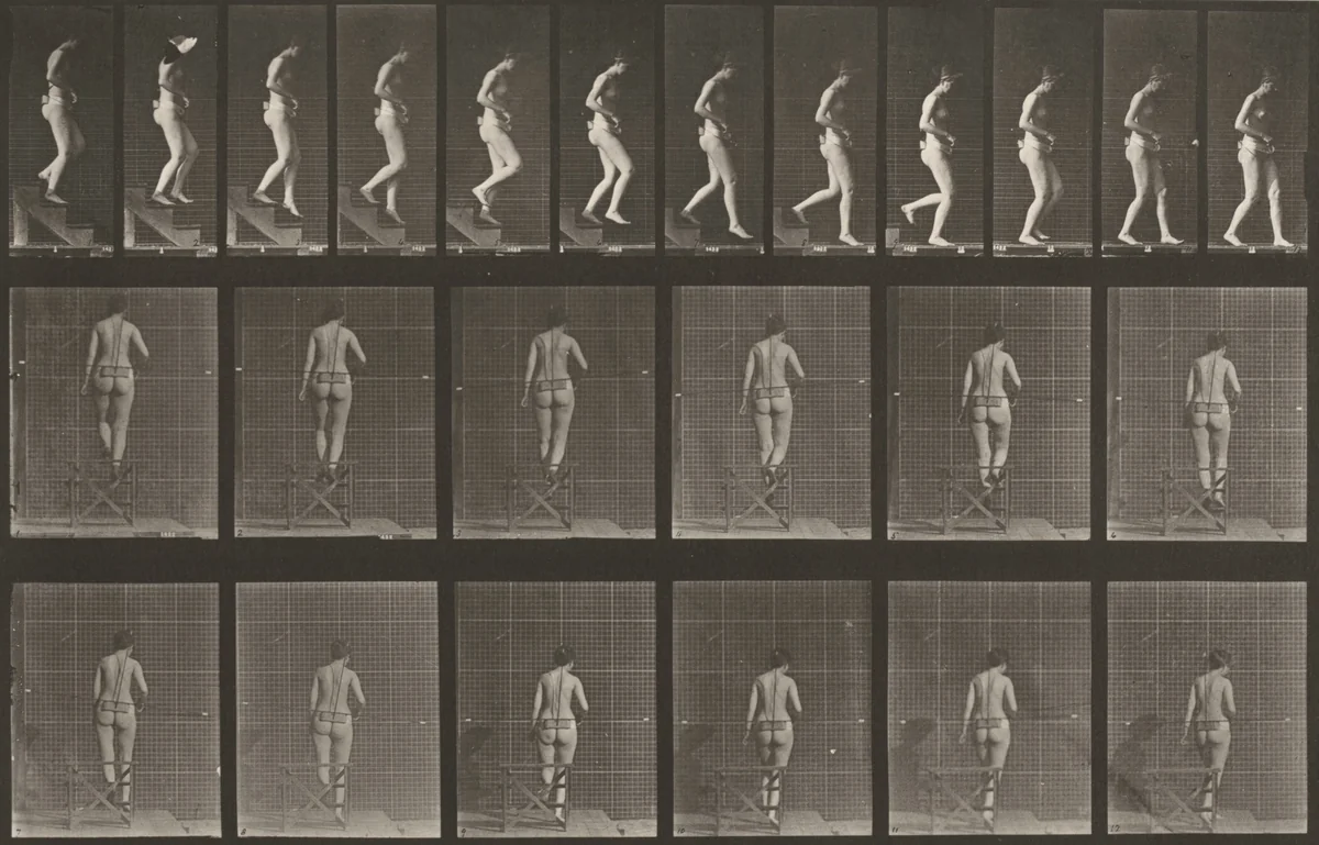 Plate Number 130. Descending stairs by Eadweard Muybridge, photograph, 1887
