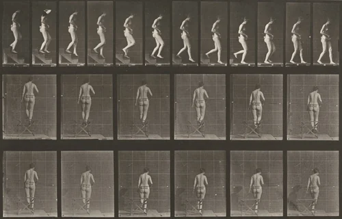 Plate Number 130. Descending stairs by Eadweard Muybridge, photograph, 1887