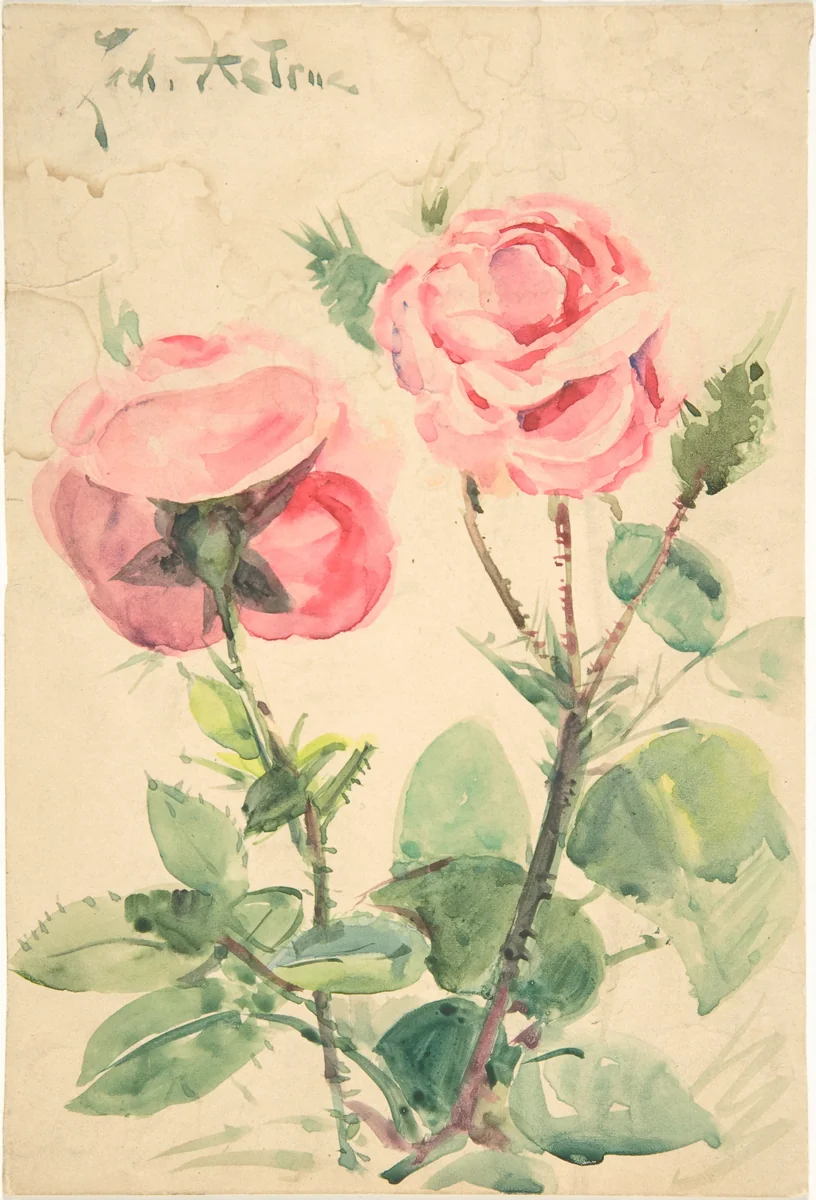Two Roses by Zacharie Astruc, drawing, 1879-1909