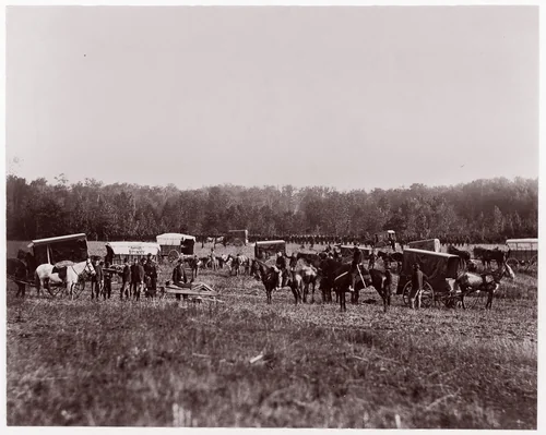 Removing Dead from Battlefield, Marye's Heights, May 2, 1864 by Andrew Joseph Russell, photograph, 1864