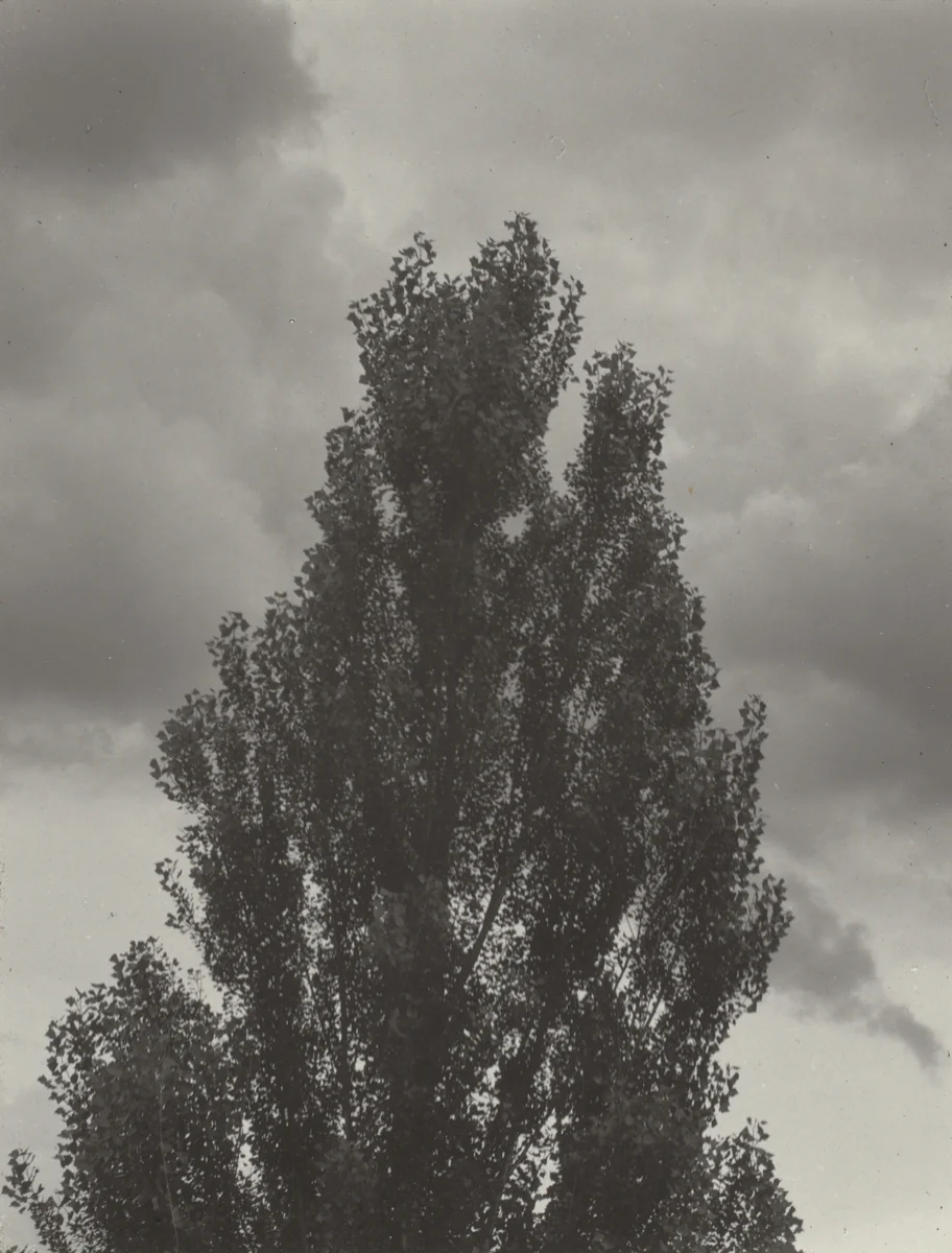 Portrait—K.N.R., No. 4 or Songs of the Sky C4 by Alfred Stieglitz, photograph, 1923